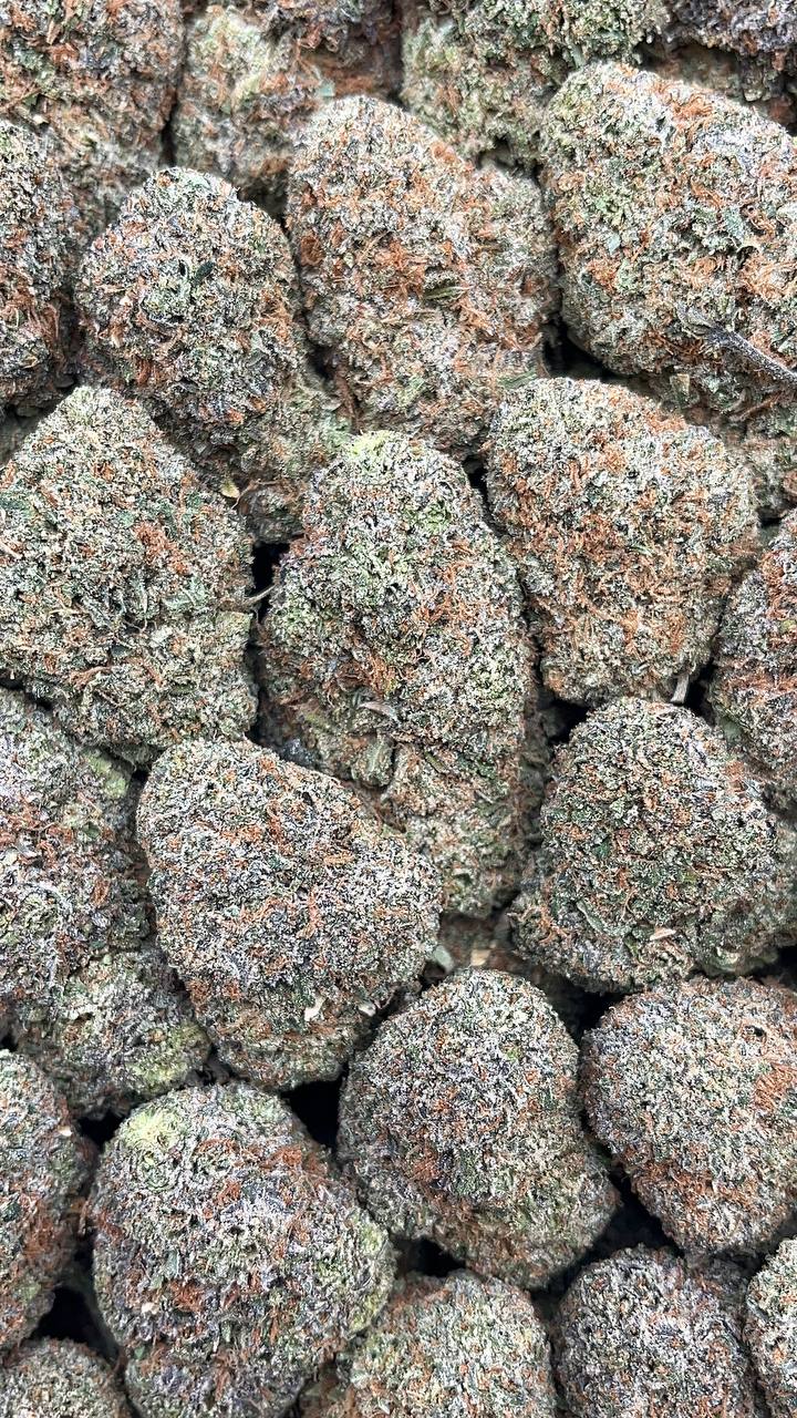 Martian Candy - PK198