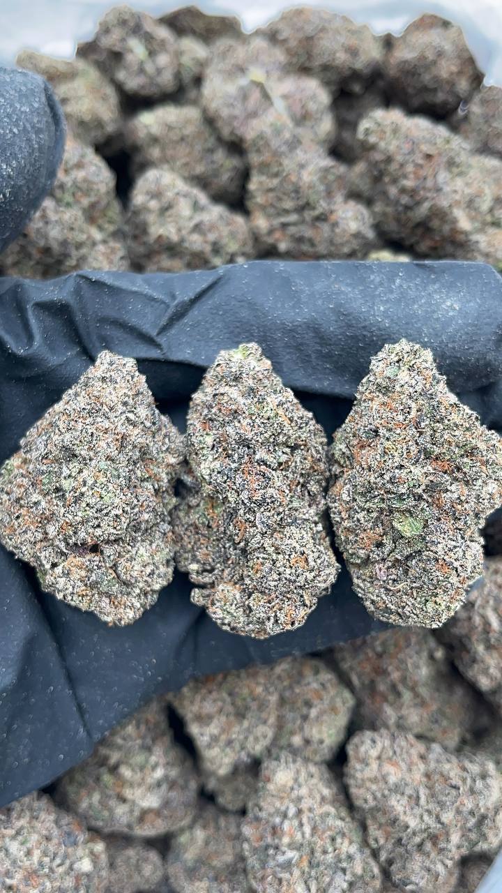 Purple Candy Runtz - PK200