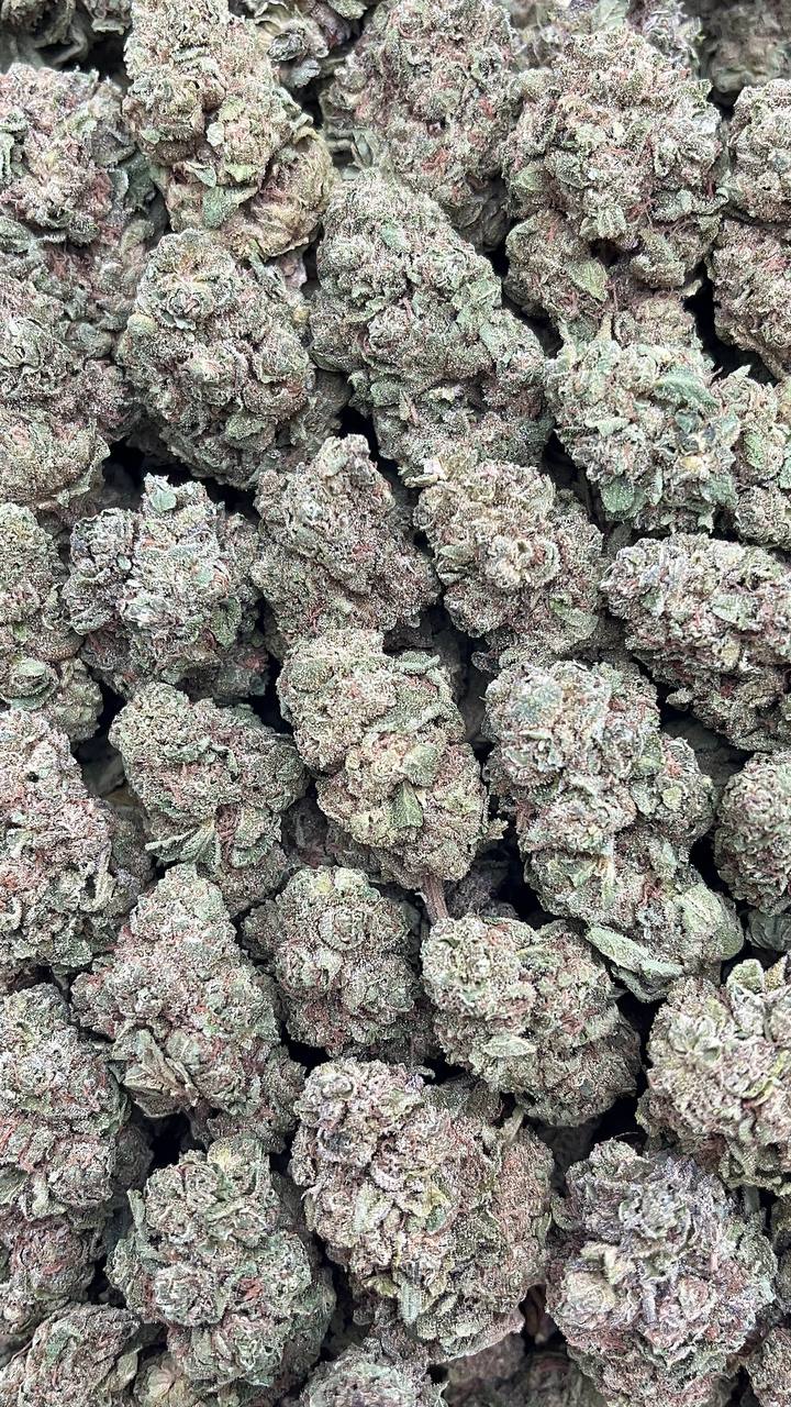 🔥Special Items 🔥 After Dark-pk179