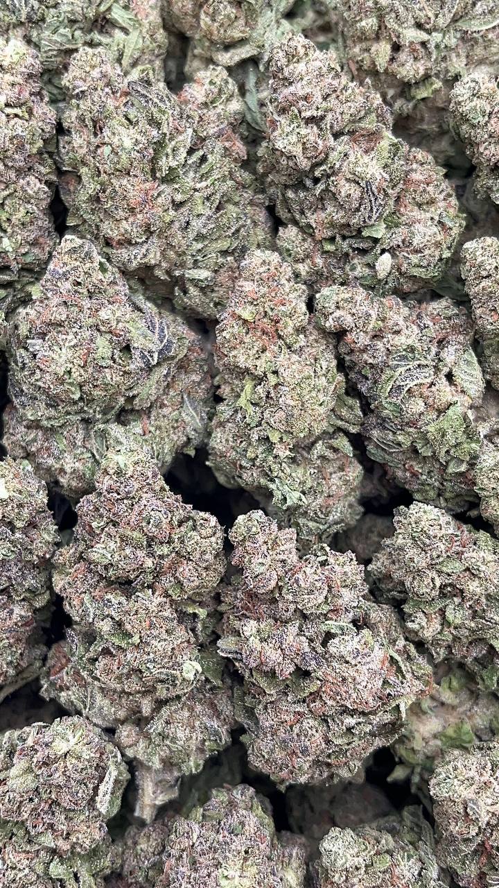 🔥Special Items 🔥 Hash Burger - PK177