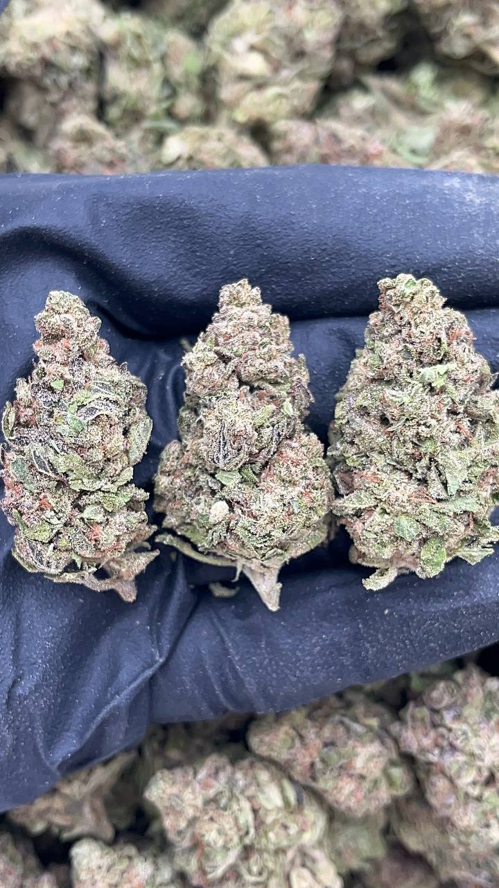 🔥Special Items 🔥 Hash Burger - PK177