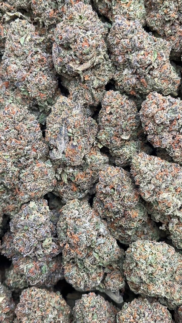 Buckin Runtz - PK194