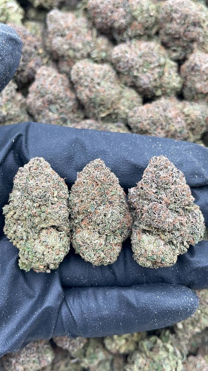 Berry Bon Bons - PK193