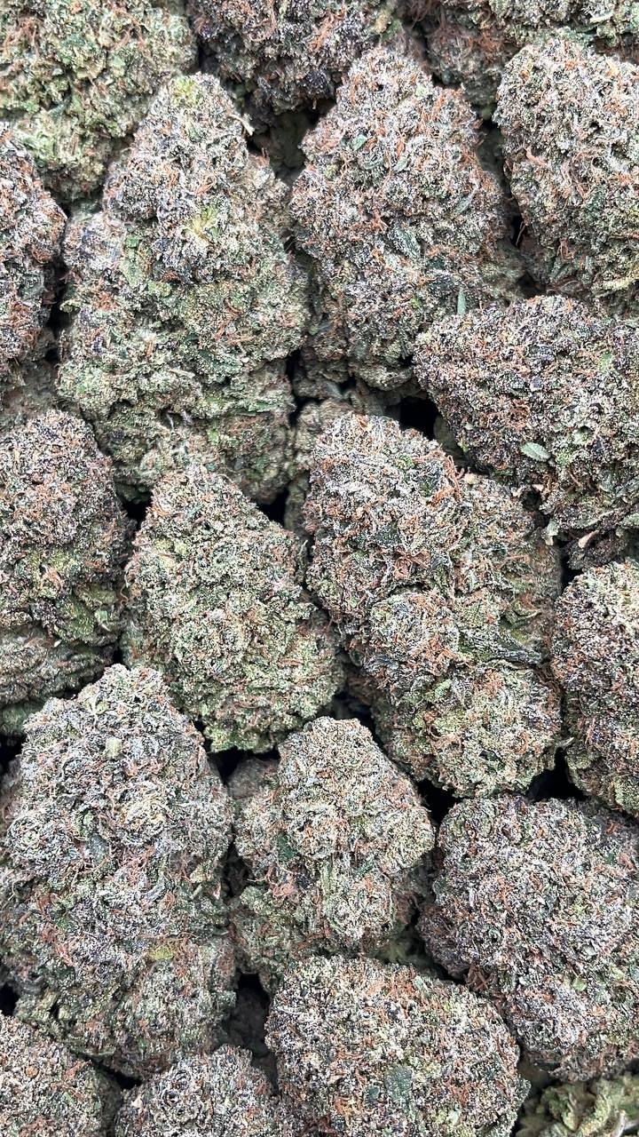 Berry Bon Bons - PK193