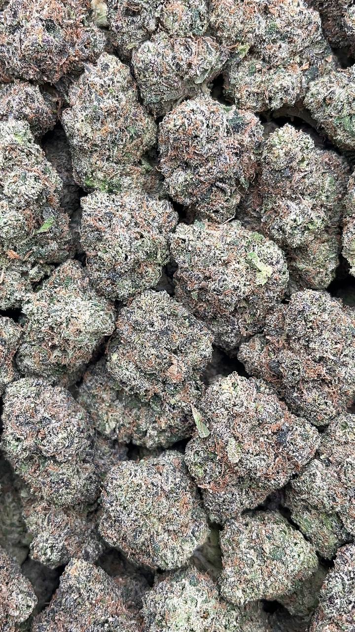 Kool Aid (Licensed) - PK152