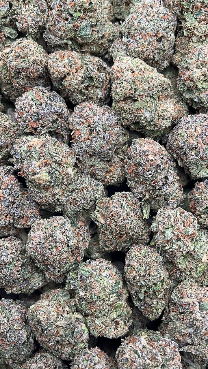 Pink Panties - PK129