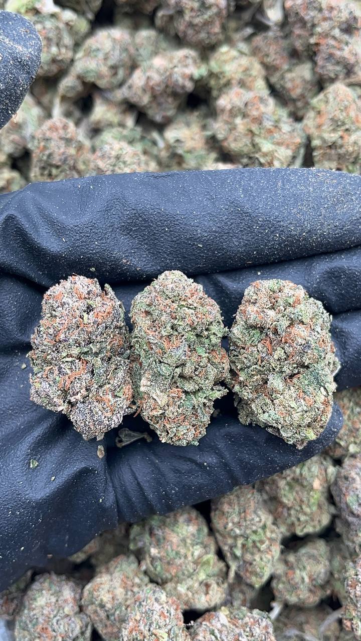 Pink Panties - PK129