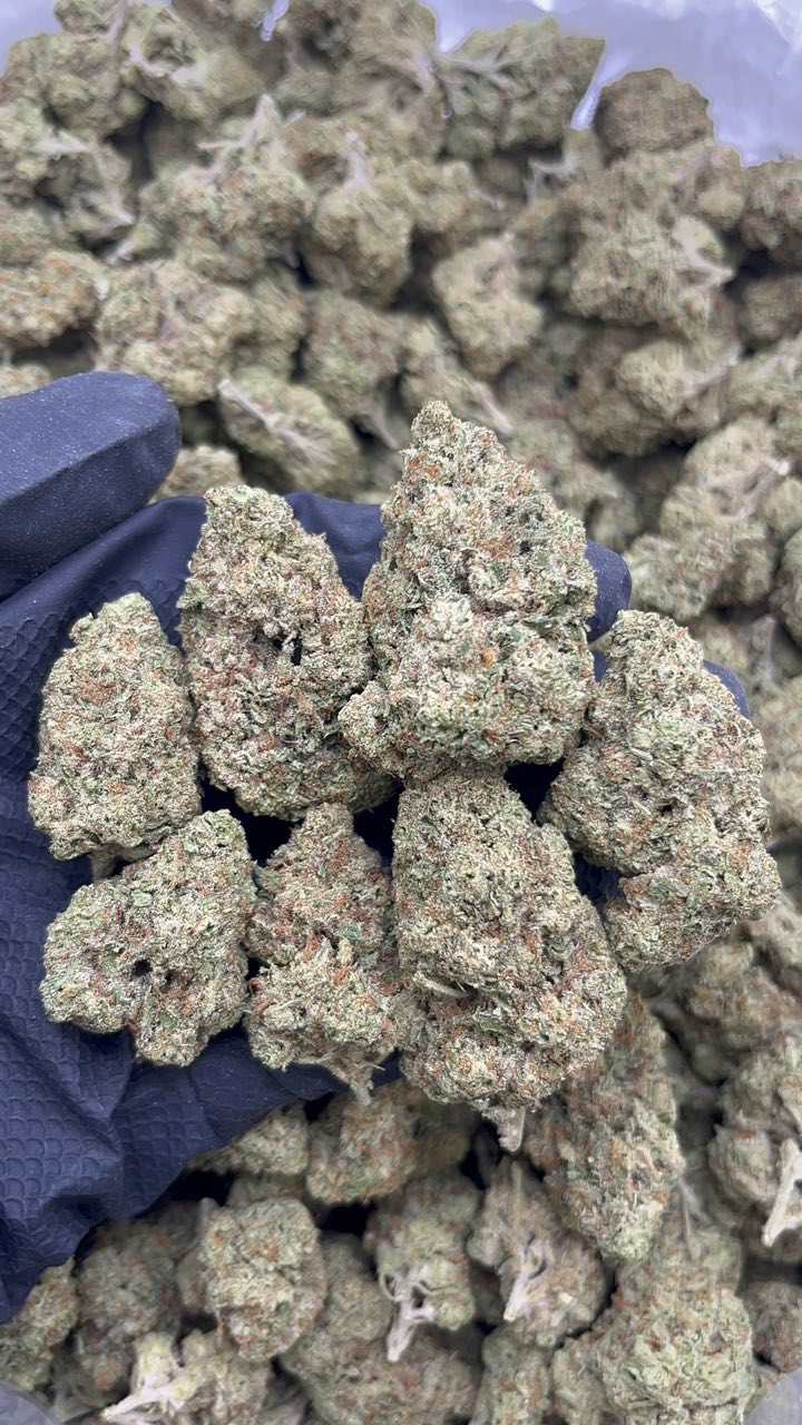 Frozen Cherries - pk535