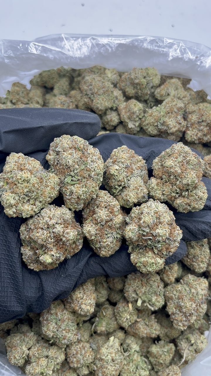 Pure Michigan - pk585
