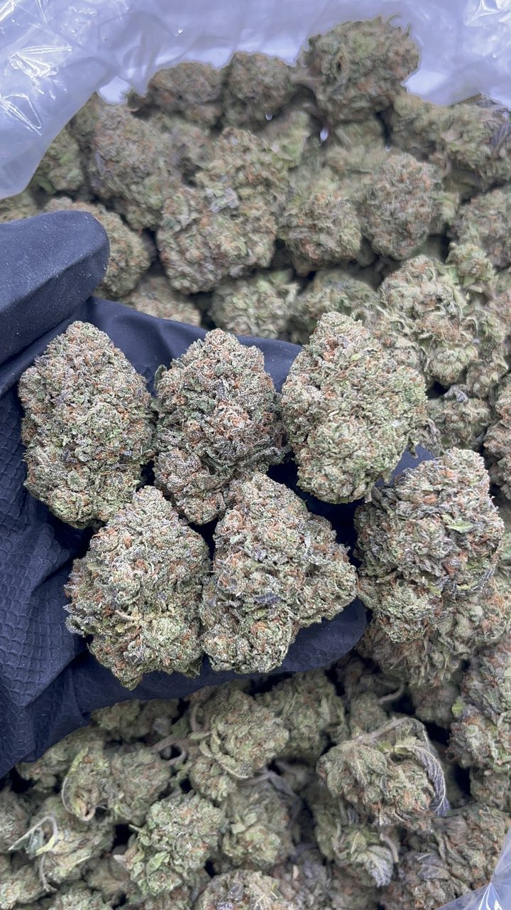 LA Cherries - pk575