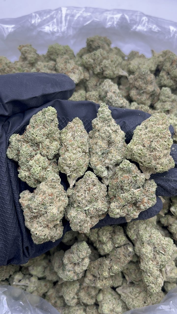 Apples N Bananas - pk529