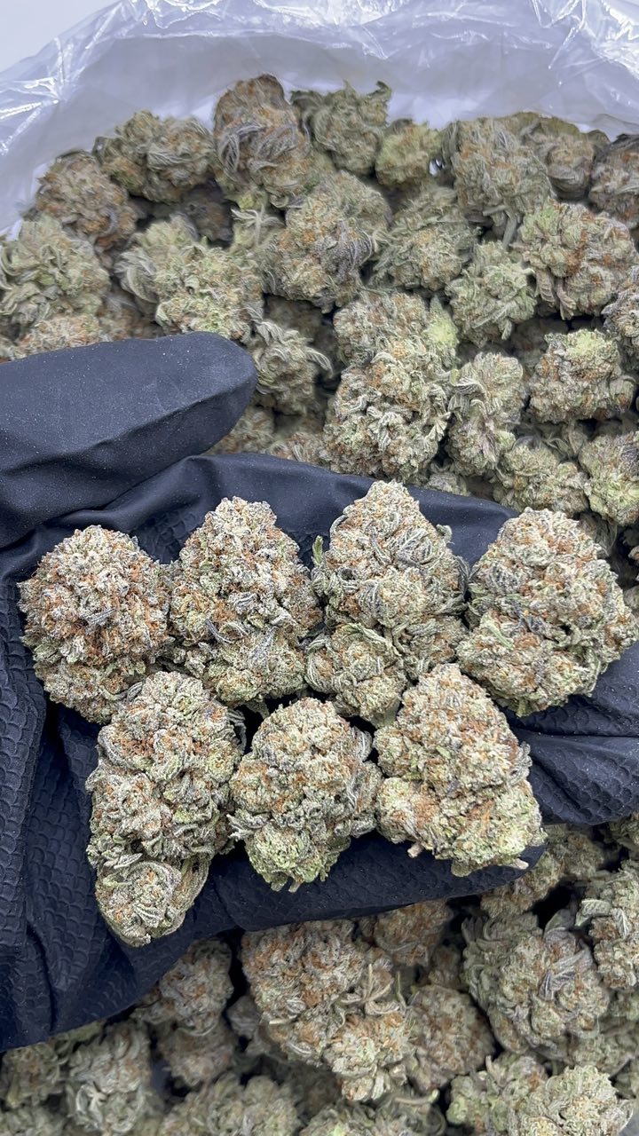 Pink Truffles - pk524