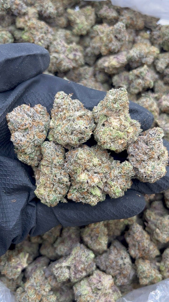 Dark Cherries - pk825