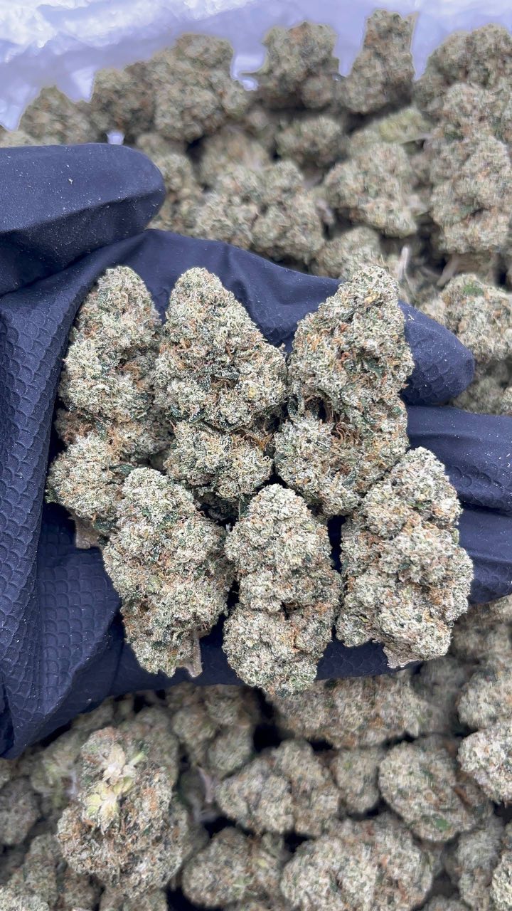 Ghost OG - pk799