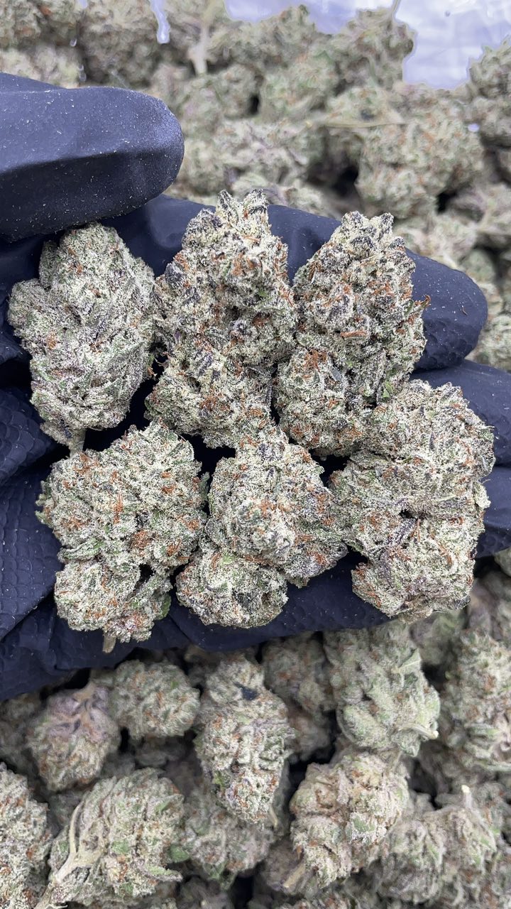 Secret Cookies
