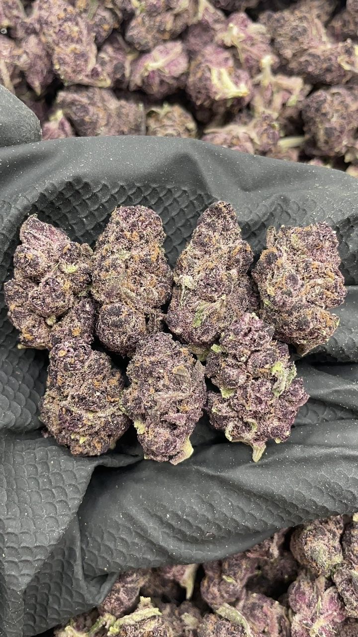 Halle Berry Meds pk659