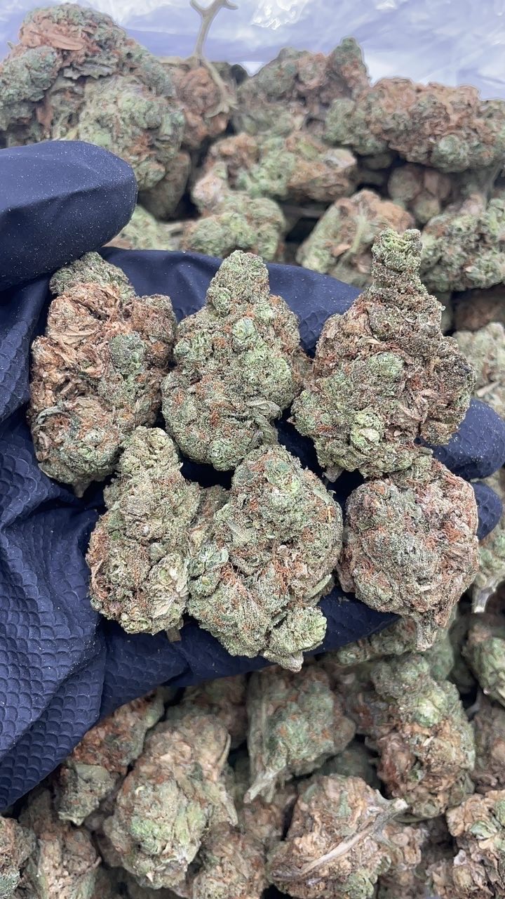 Halle Berry Meds