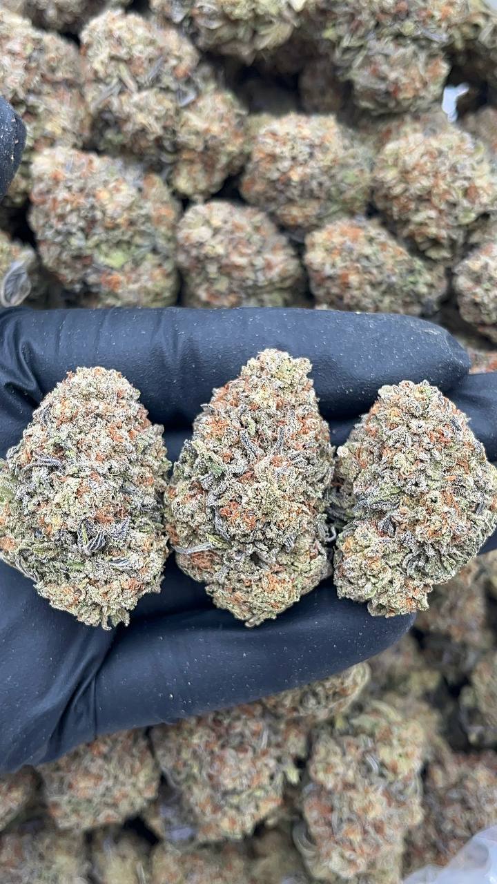 Grape Soda - PK635