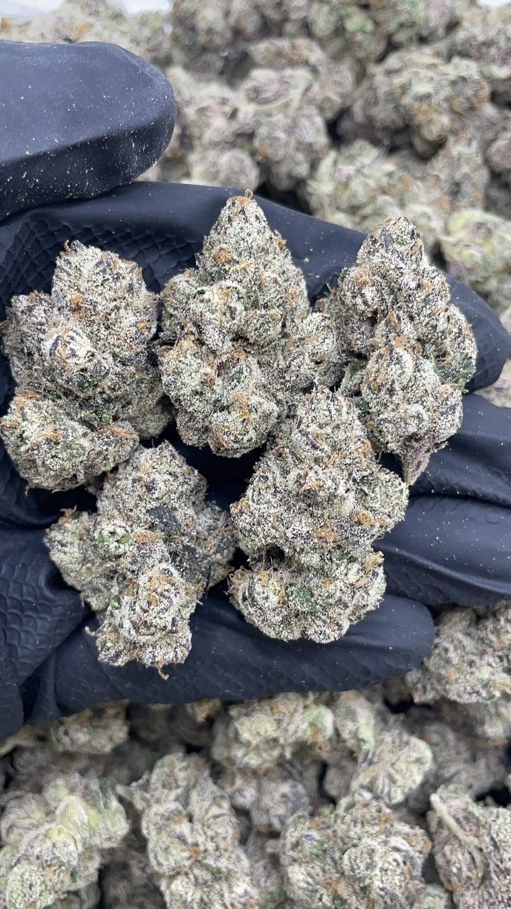 Berry Pops  pk1300