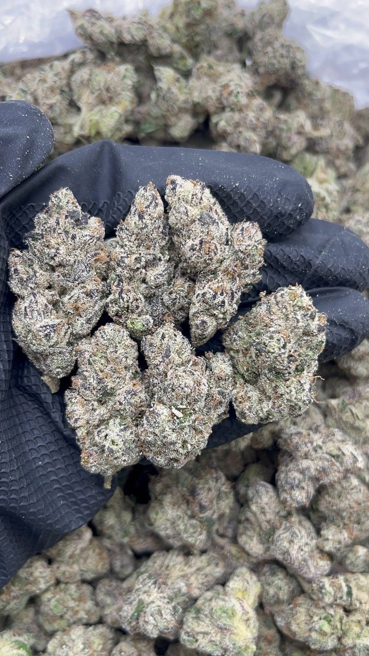 Berry pop fruity pk456