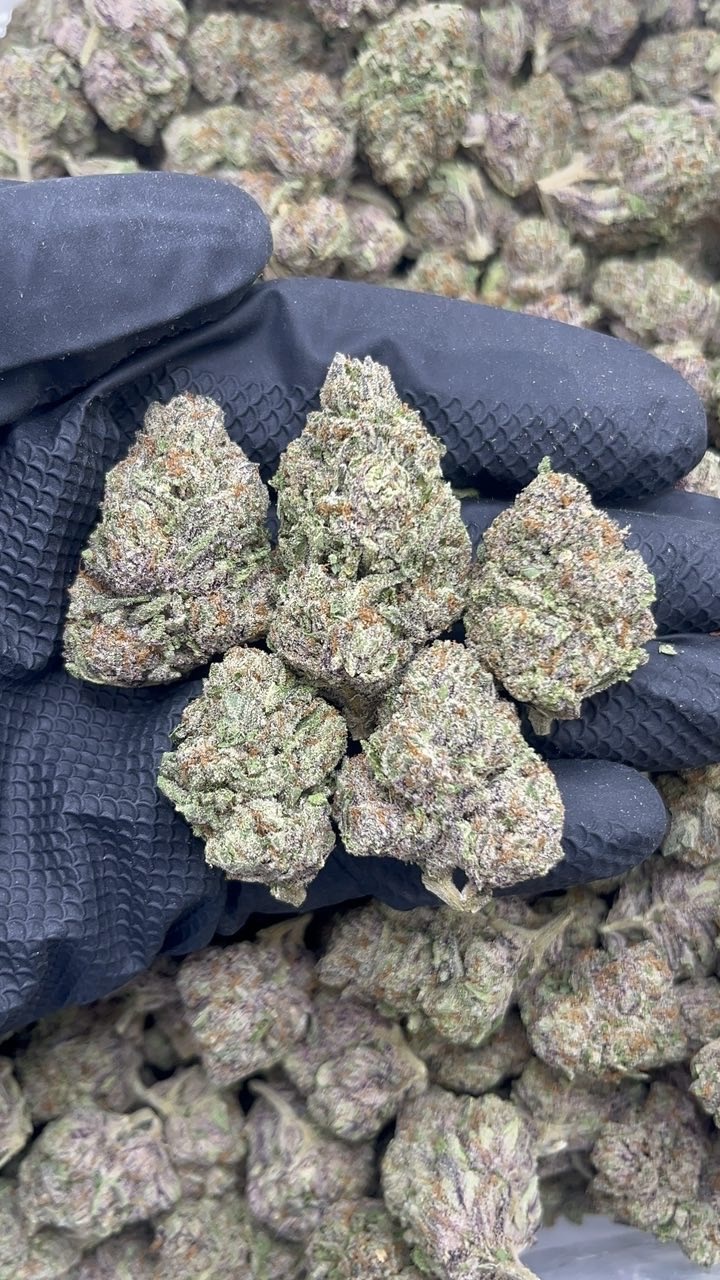 Candy Gas pk233