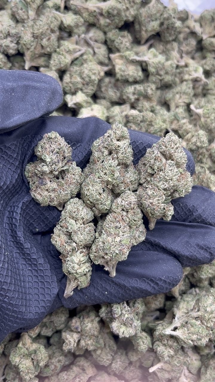 Airheads pk576