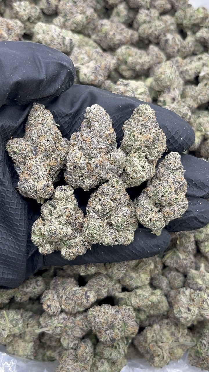Nerd Clusters pk950