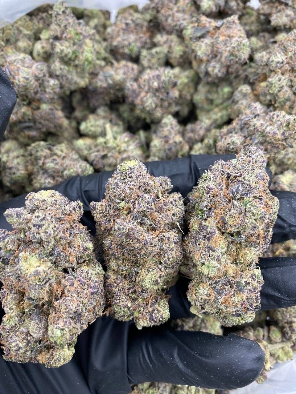 SUPER SAIYAN HASHBURGER  PK890