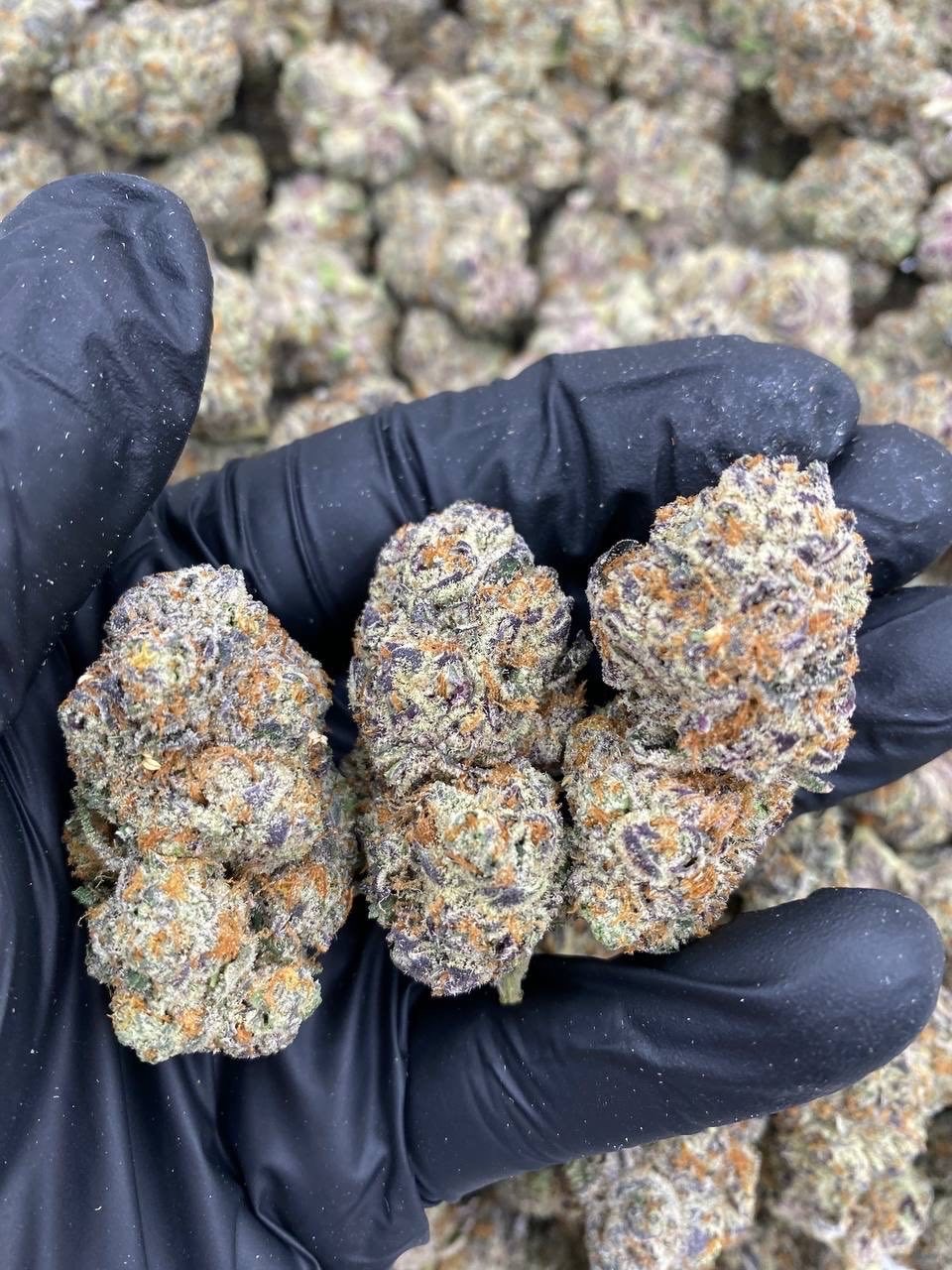 COOKIES  FRUTTIES
