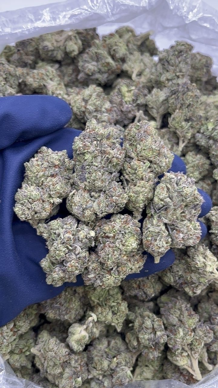 BLUE ICE