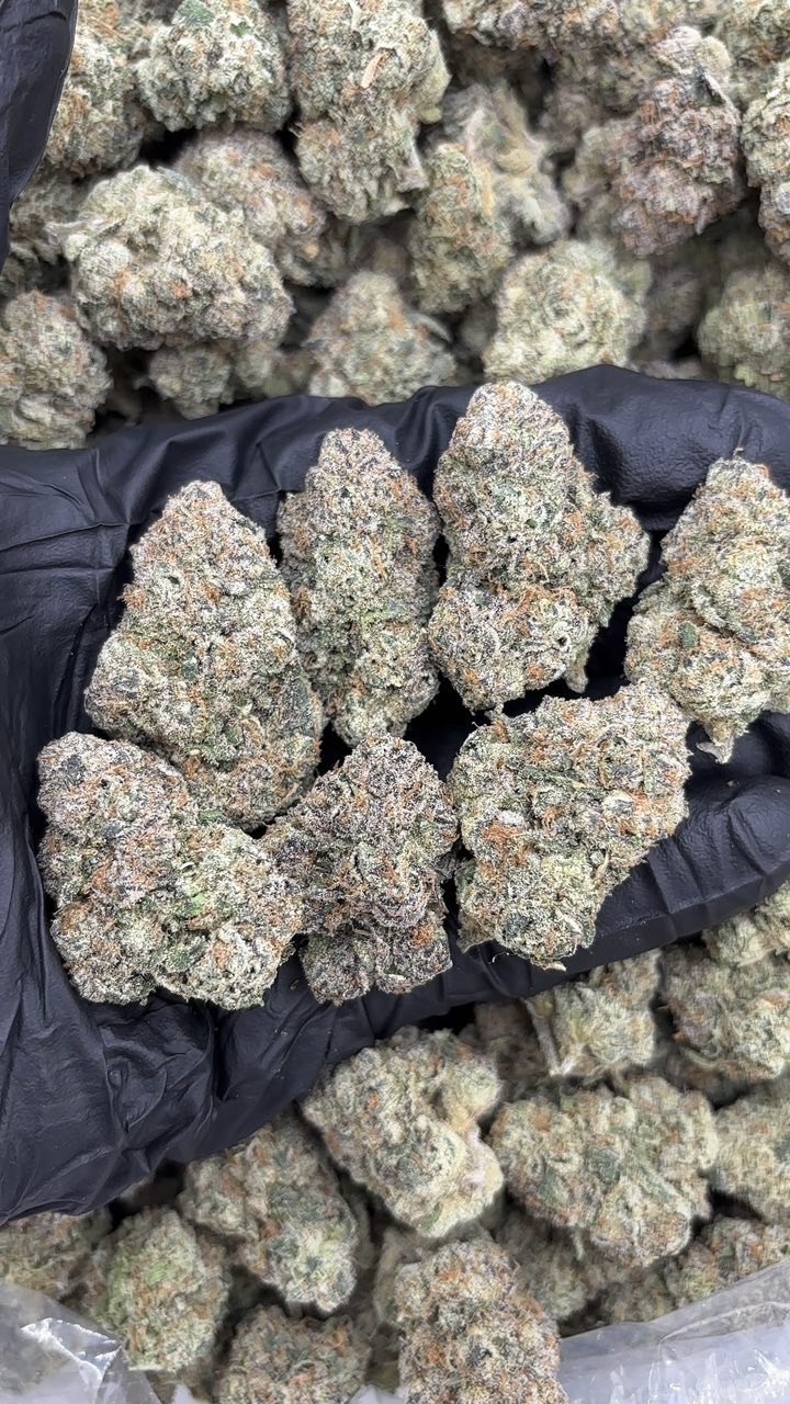 Wonka Runtz