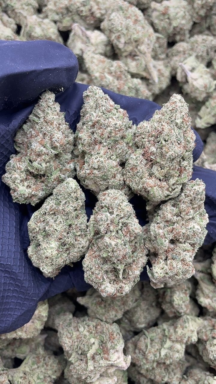 Clementine Punch pk678