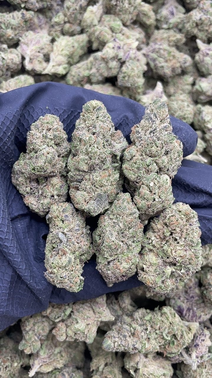 Garlic Gas  pk680