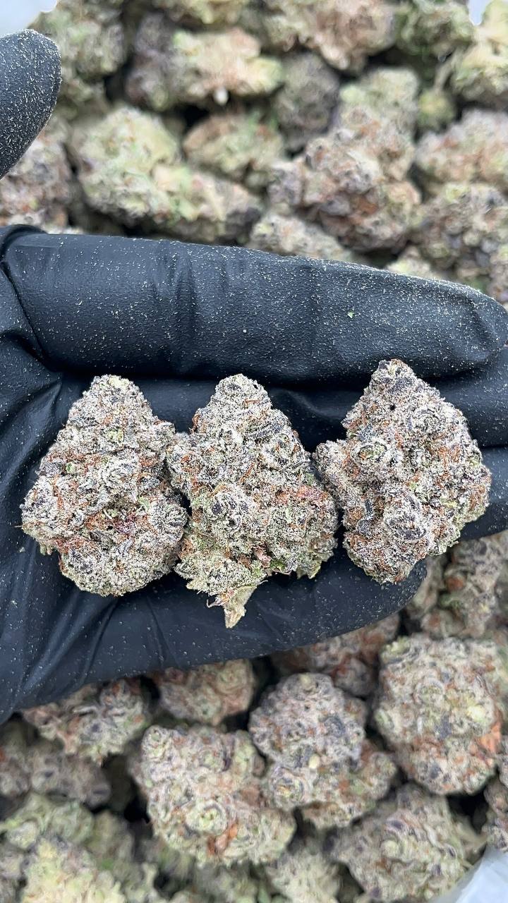 GG4 - PK621