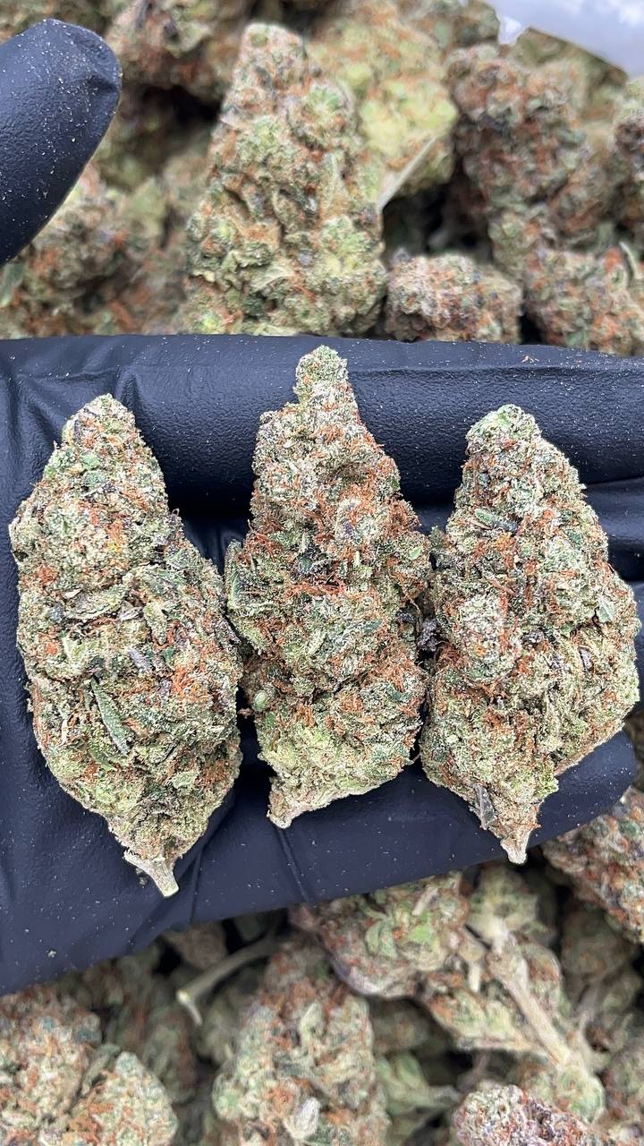 Maui Wowie - PK612