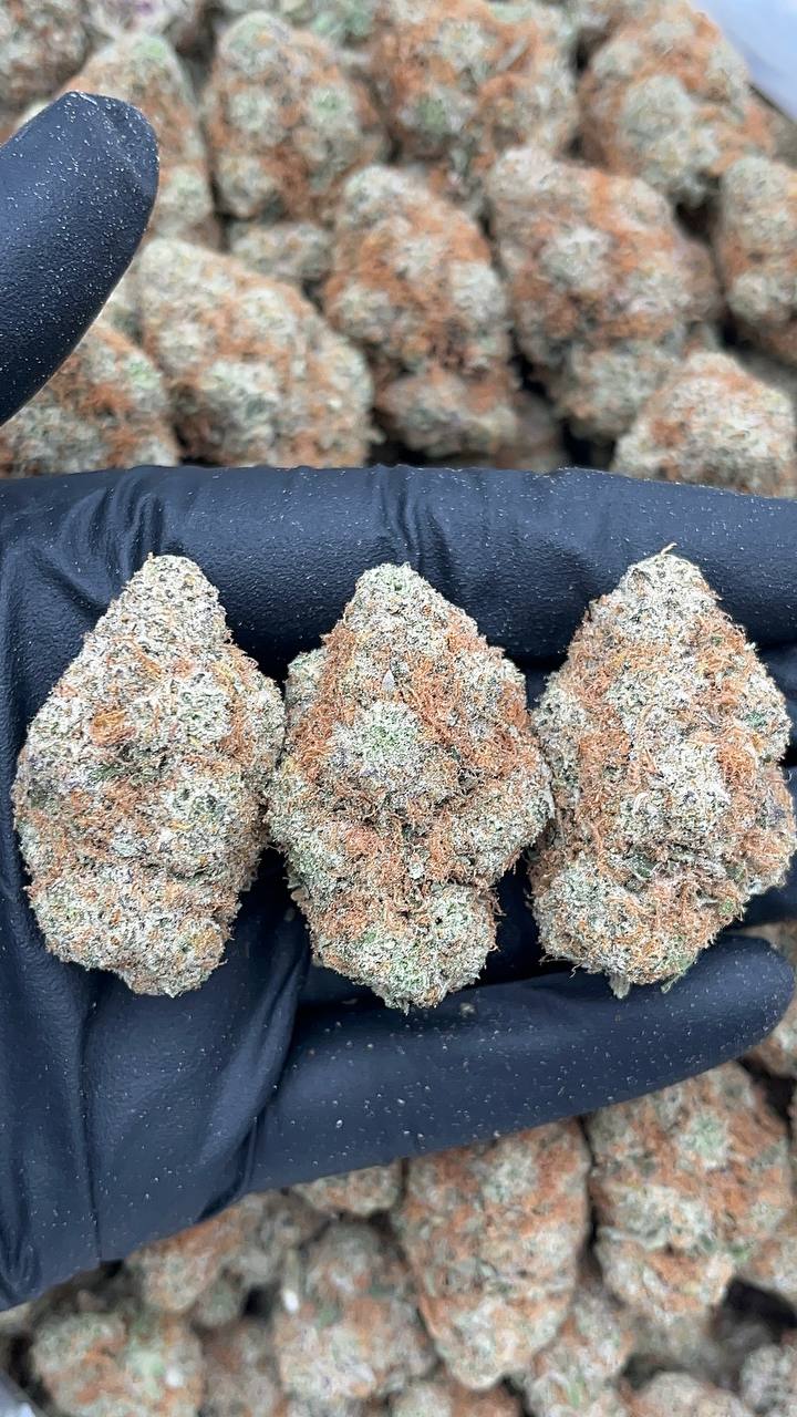 Velvet Cake - PK625