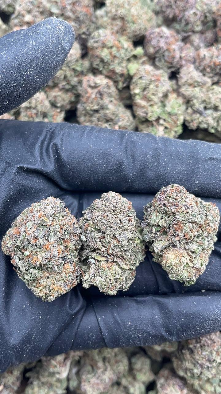 Rocket Fuel - PK569