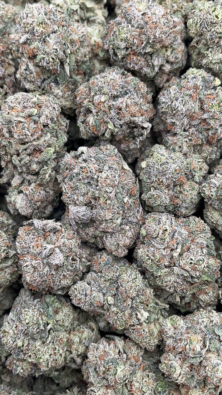 White Strawberry Skunk - PK368