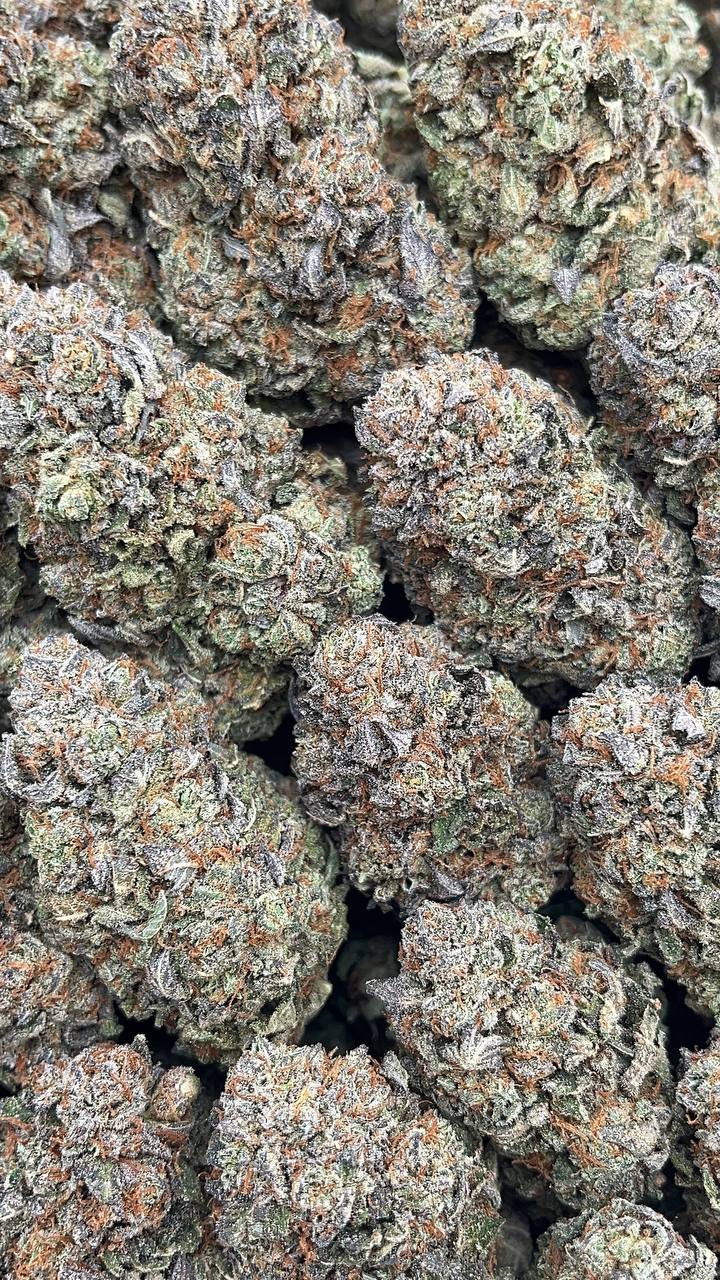 Platinum Kush - PK172