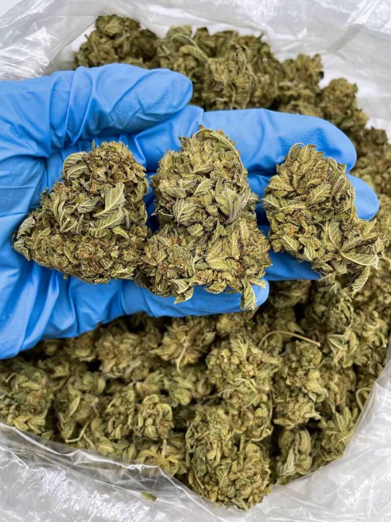 PLATINUM HERB