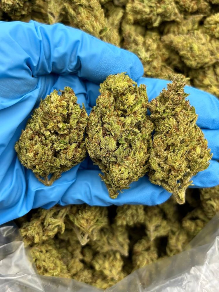 SUPER GLUE