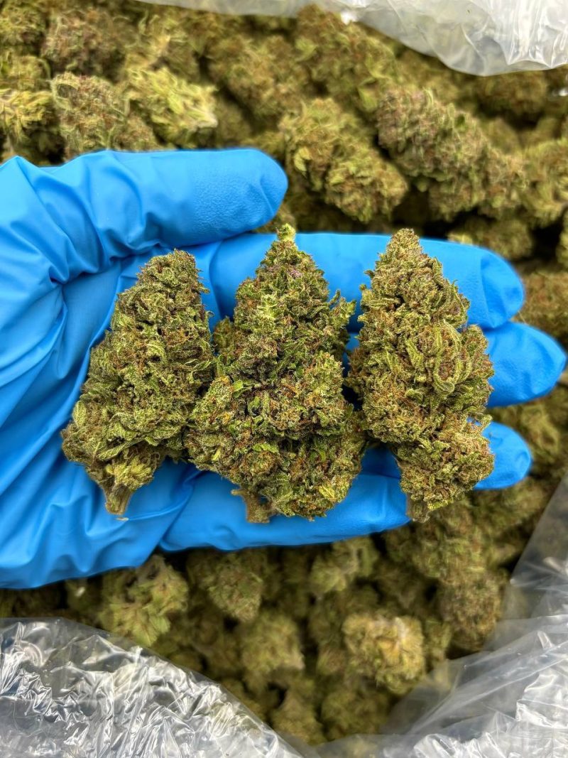 SUPER WRECK