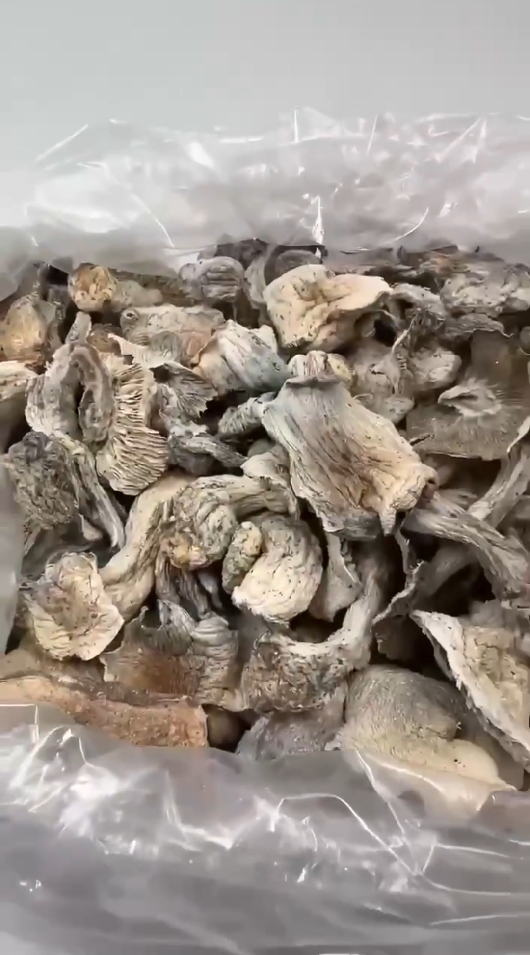 MINI APES