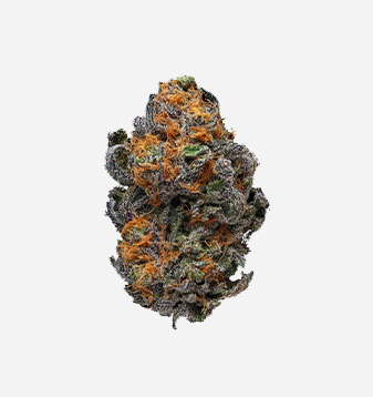 Wax