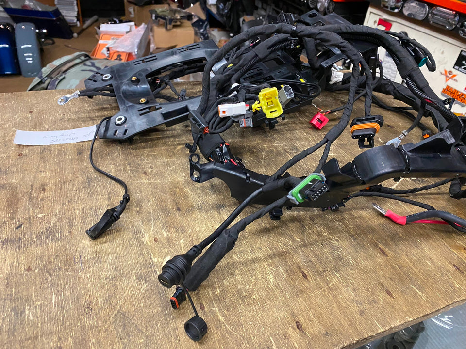 NEW MAIN WIRING HARNESS HARLEY BAGGER FLH ULTRA CLASSIC GLIDE 2021 69202185 OEM