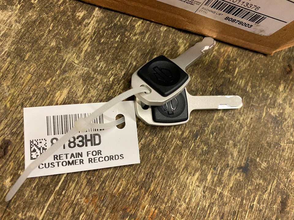 OEM HARLEY DAVIDSON IGNITION SIDE CUT BLADE KEY SET FAT BOY HERITAGE 90300129